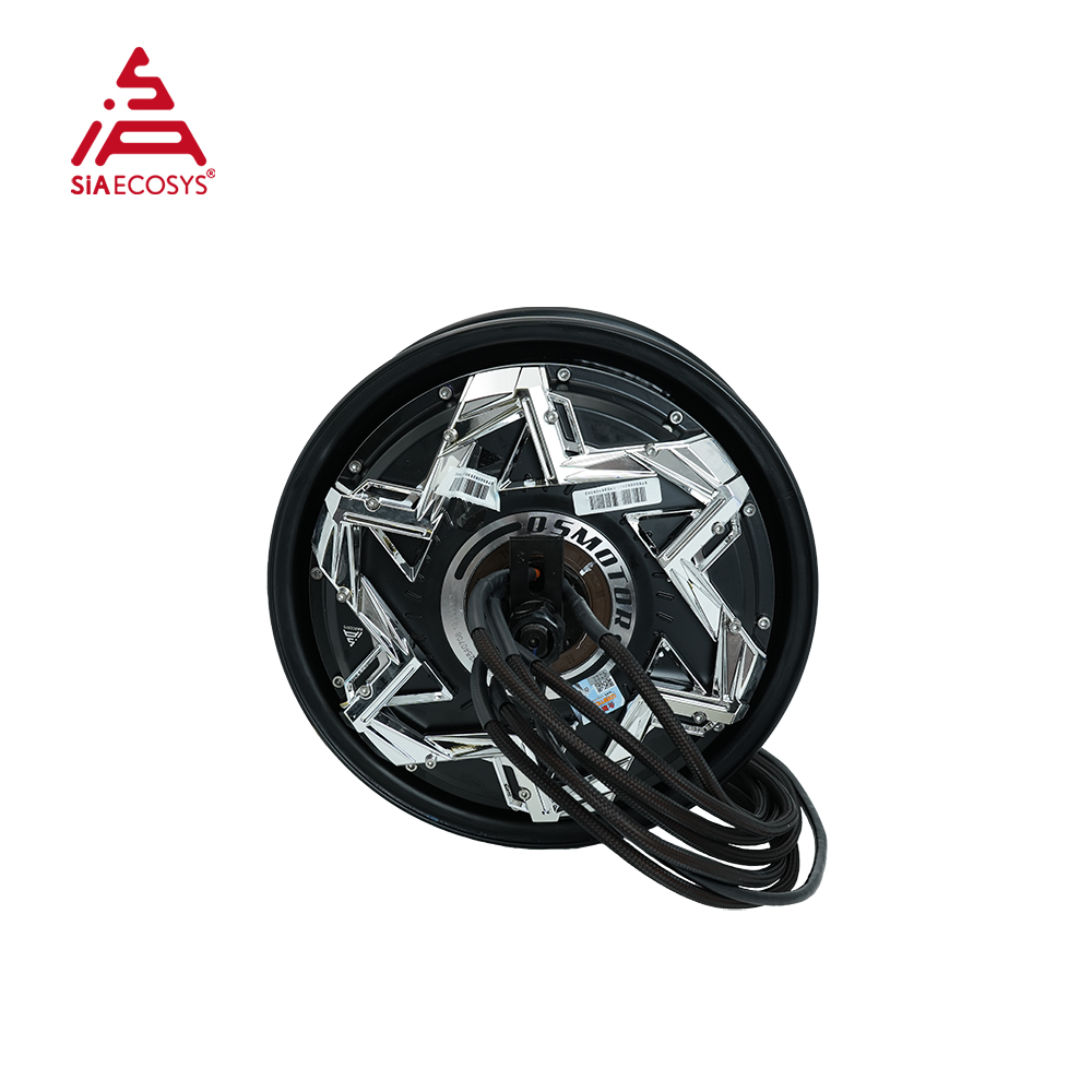 Motor de cubo BLDC QS MOTOR 12 - 12000W Electric Motorcycle Hub Motor reseña y precio